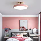 Loma Flush Mount Ceiling Light