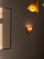 Elegant Wall Lamp with Soft Curves