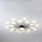 Arisha Ceiling Light Firework Modern Design LED Living Room Bedroom