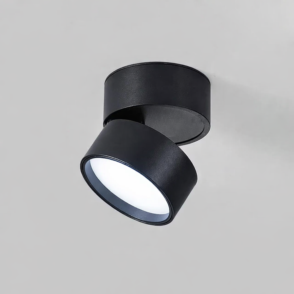 Modern Adjustable LED Ceiling Lamp