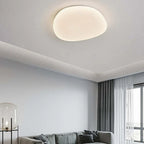 Organic LED Ceiling Lamp Natural Stone Shape
