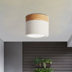Bathroom Hallway Round Flush Mount Light Acrylic Macaron Loft Small Green/Grey/White Ceiling Lamp