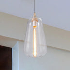 Global/Gourd/Ellipse Pendant Light Contemporary Smoky/Amber/White Glass 1 Light Dining Room Hanging Ceiling Lamp