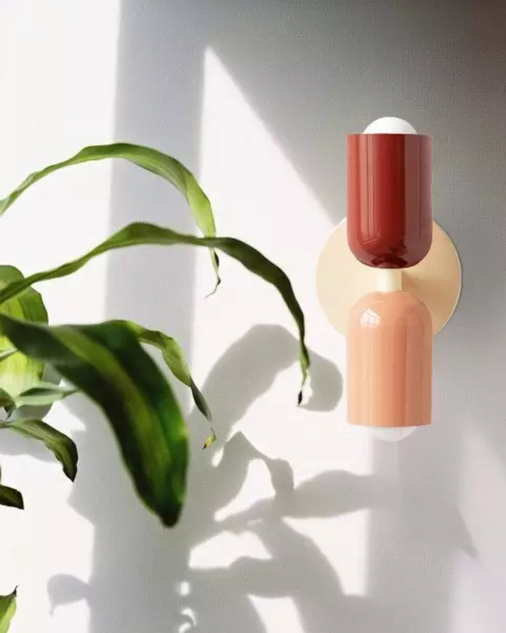 The Light and Shadow