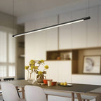 Zynar Minimalist Linear Suspension Black Bedroom