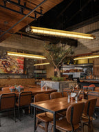 Arsorisra Industrial Linear Suspension