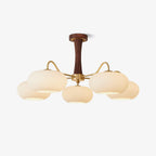Candy Brass Wooden Glass Persimmon Chandelier