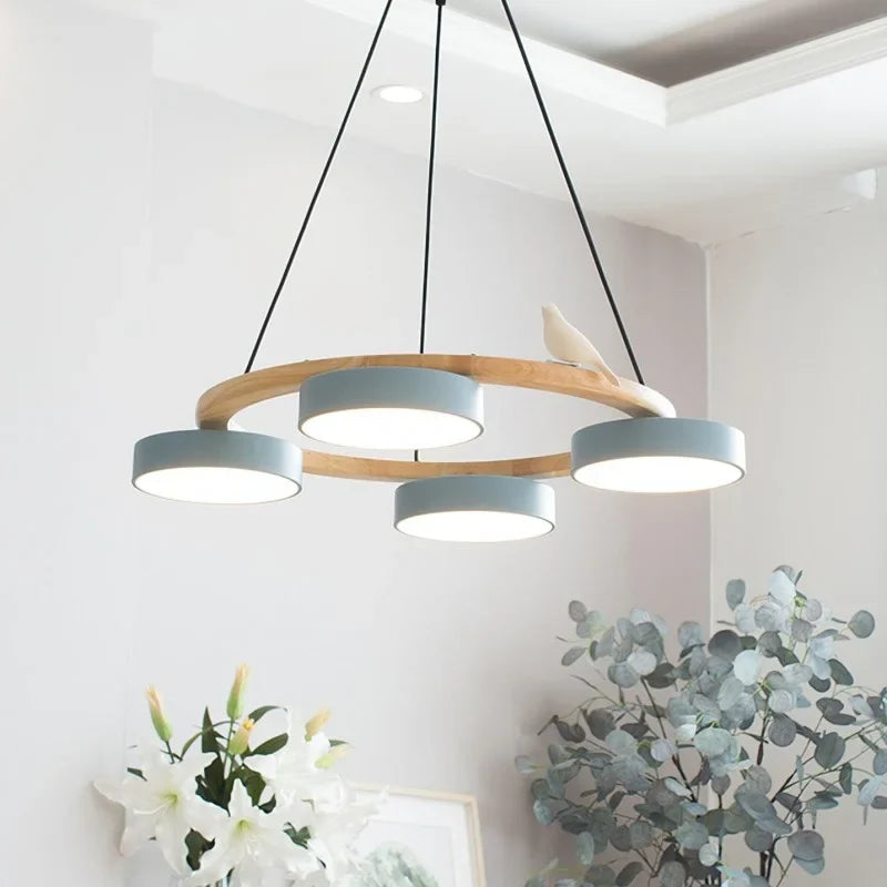 Cadmus Macarons Bird Woon Round Chandelier