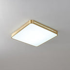 Eurcarara Modern Minimalist Brass Ceiling Light