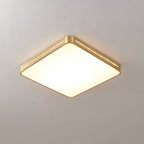 Eurcarara Modern Minimalist Brass Ceiling Light