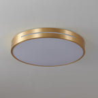 Eurcarara Modern Minimalist Brass Ceiling Light