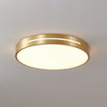 Eurcarara Modern Minimalist Brass Ceiling Light