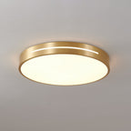 Eurcarara Modern Minimalist Brass Ceiling Light