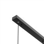 Caputo linear led pendant light