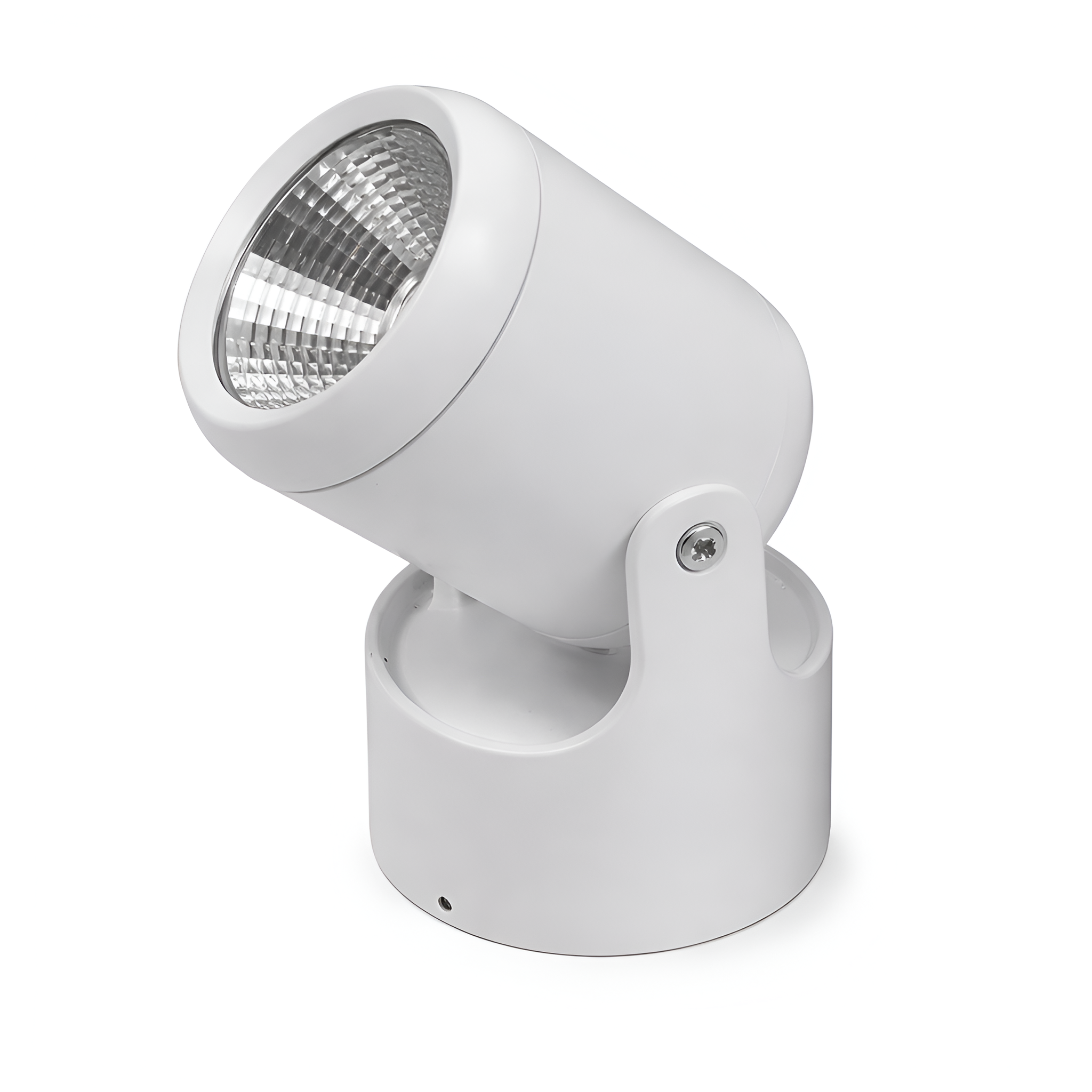 Yuri - Adjustable Surface Mounted Downlight Spotlight