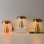 Caelindor - Modern Touch Table Lamp