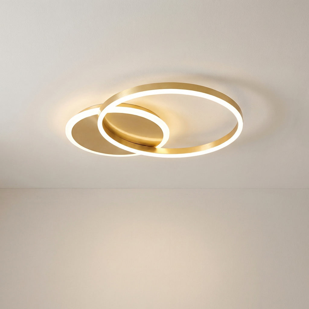 Randale's Ceiling Light