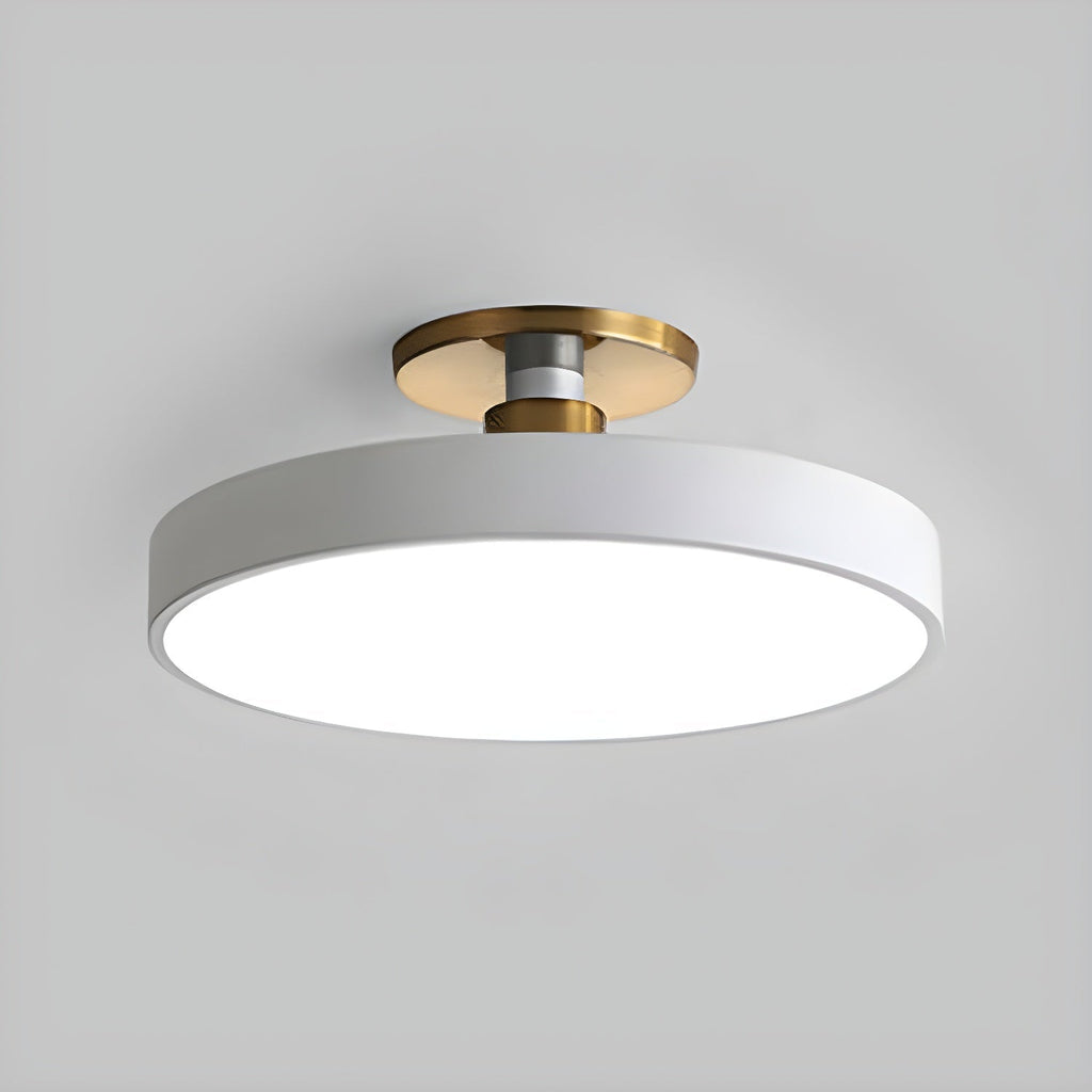 Loma Flush Mount Ceiling Light