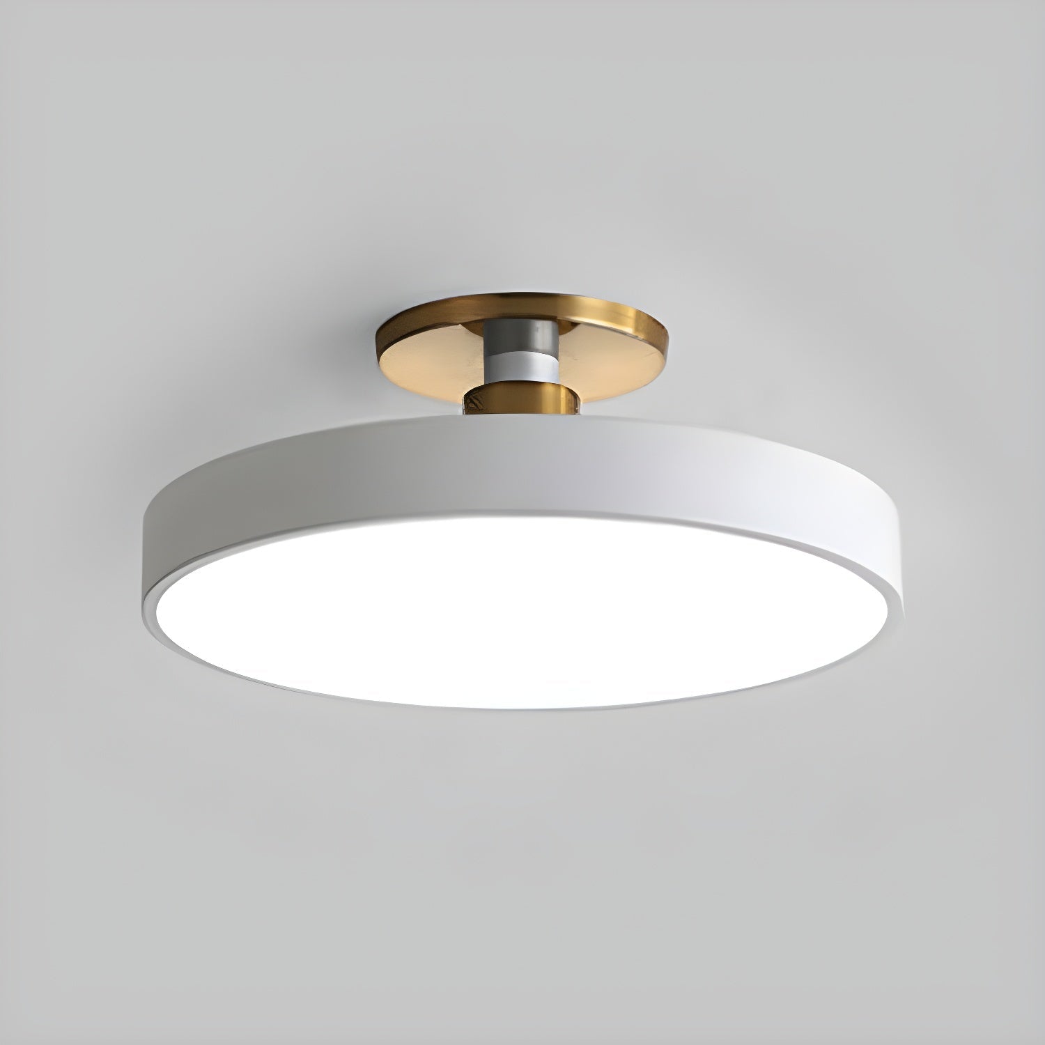 Loma Flush Mount Ceiling Light