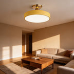 Gerald - LED Ceiling Lamp