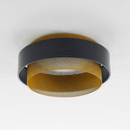 Arisha Modern Ring Ceiling Light, Metal/Acrylic, Black/White, Living Room