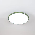 Drift Adjustable Ceiling Light
