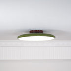 Fyne Adjustable Ceiling Light Colorful for Bedroom