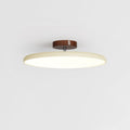 Fyne Adjustable Ceiling Light Colorful for Bedroom