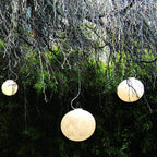 Lunara Moon Pendant Lamp