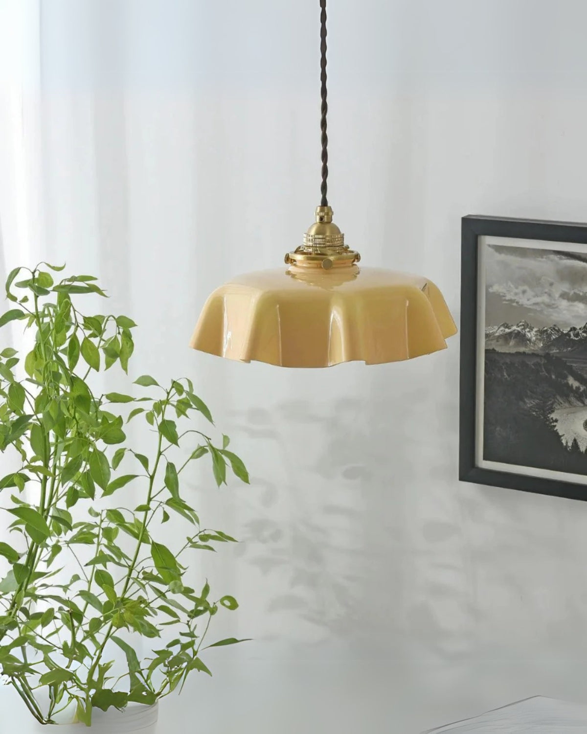 The Charm Light