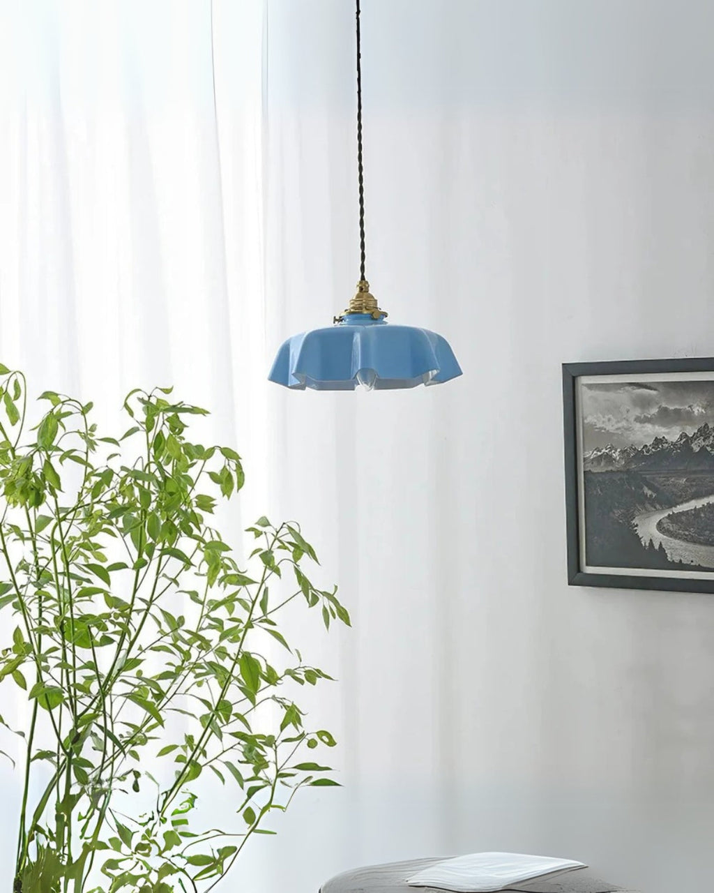 The Charm Light