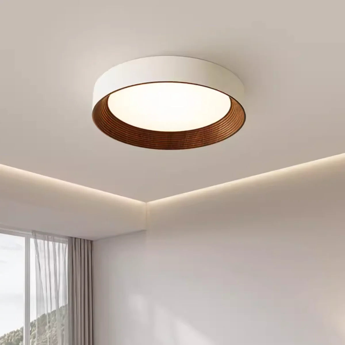 Ronan Minimalist Round Flush Mount Ceiling Light