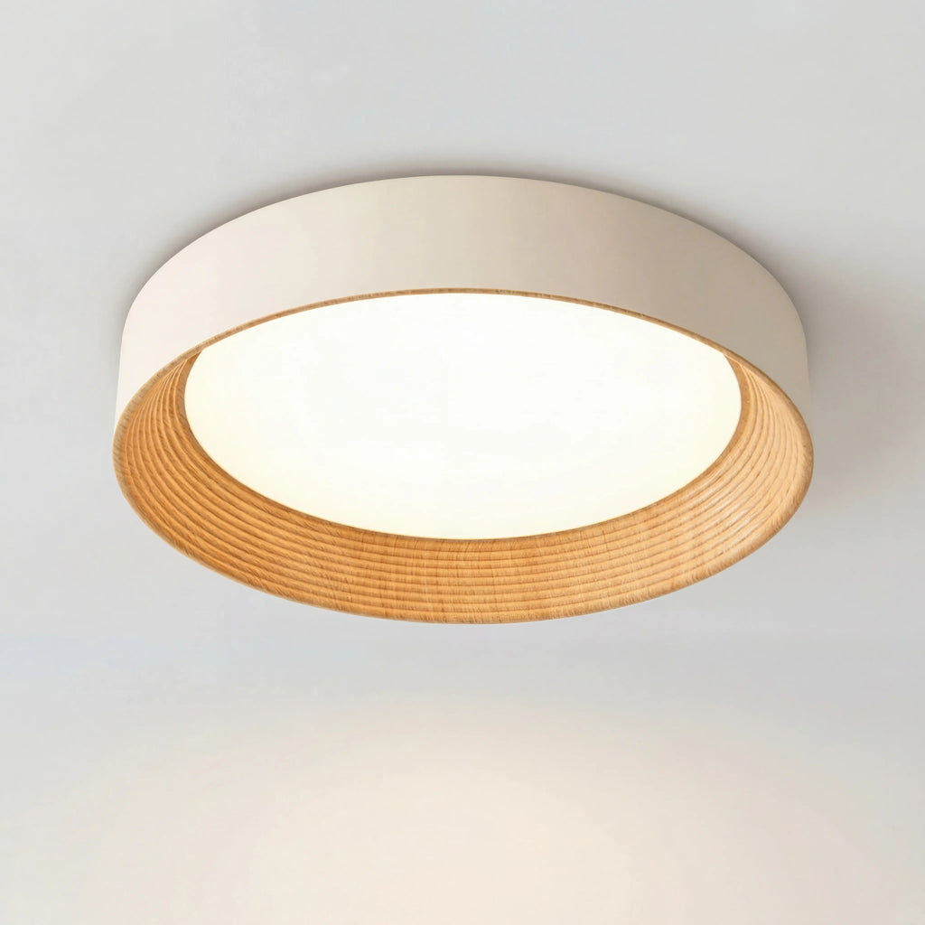 Ronan Minimalist Round Flush Mount Ceiling Light