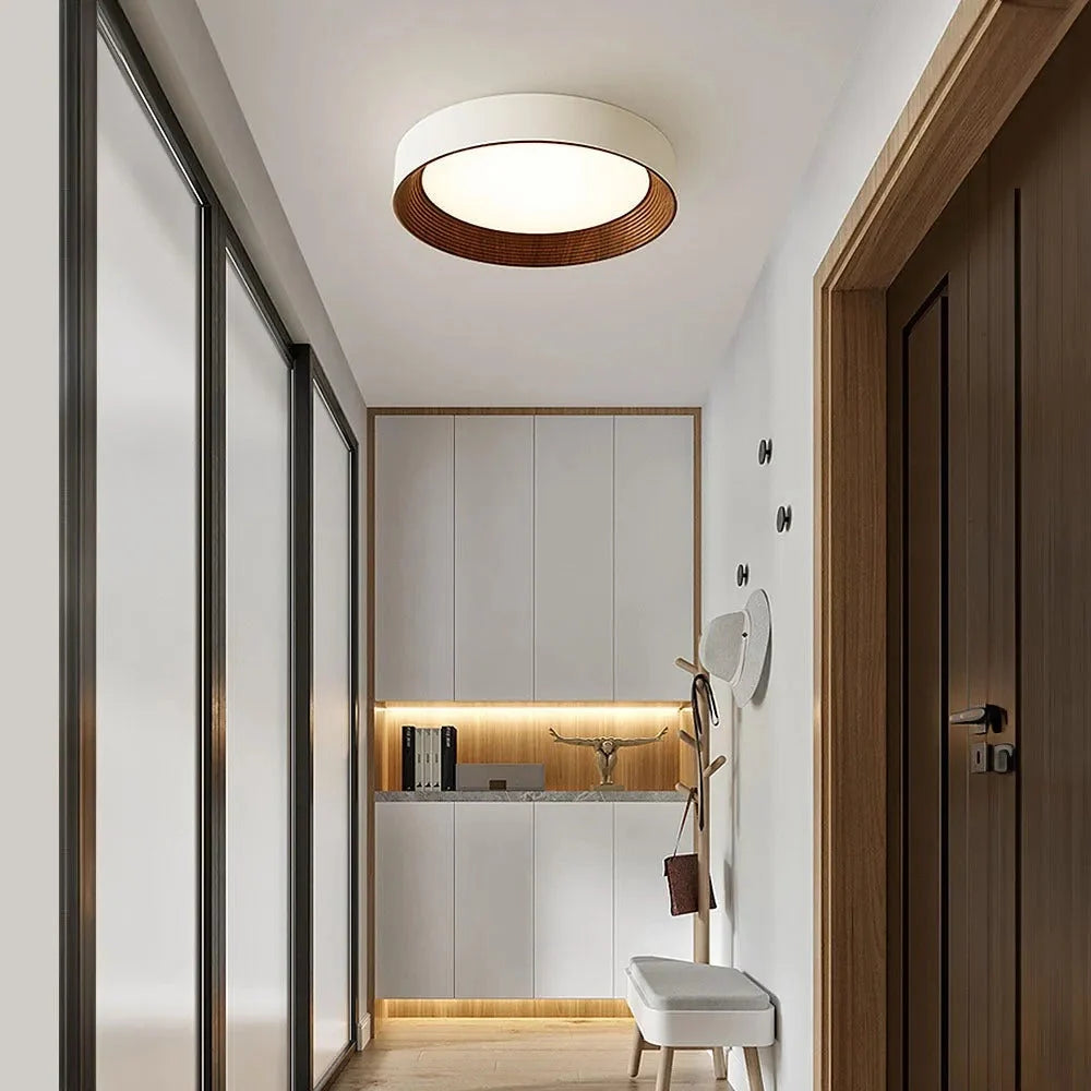 Ronan Minimalist Round Flush Mount Ceiling Light