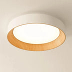 Ronan Minimalist Round Flush Mount Ceiling Light
