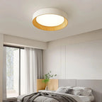 Ronan Minimalist Round Flush Mount Ceiling Light