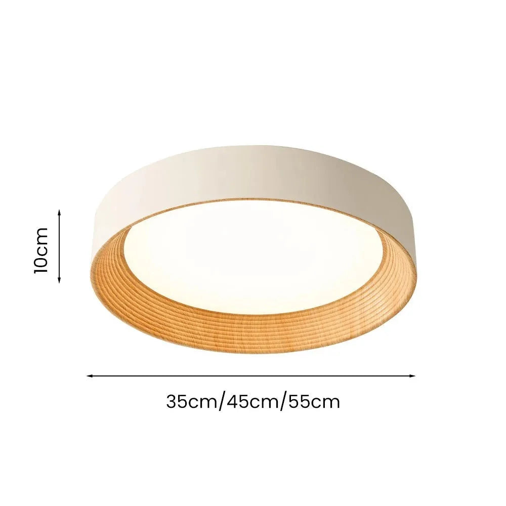 Ronan Minimalist Round Flush Mount Ceiling Light