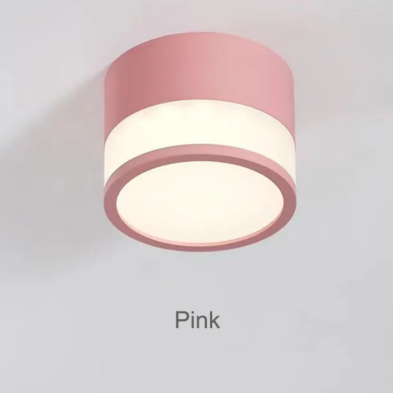 Elyran - Nordic LED Surface Downlight Dimmable