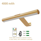 Wireless LED Wall Lamp for Artwork Lighting