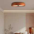 Modern LED Ceiling Light Minimalist