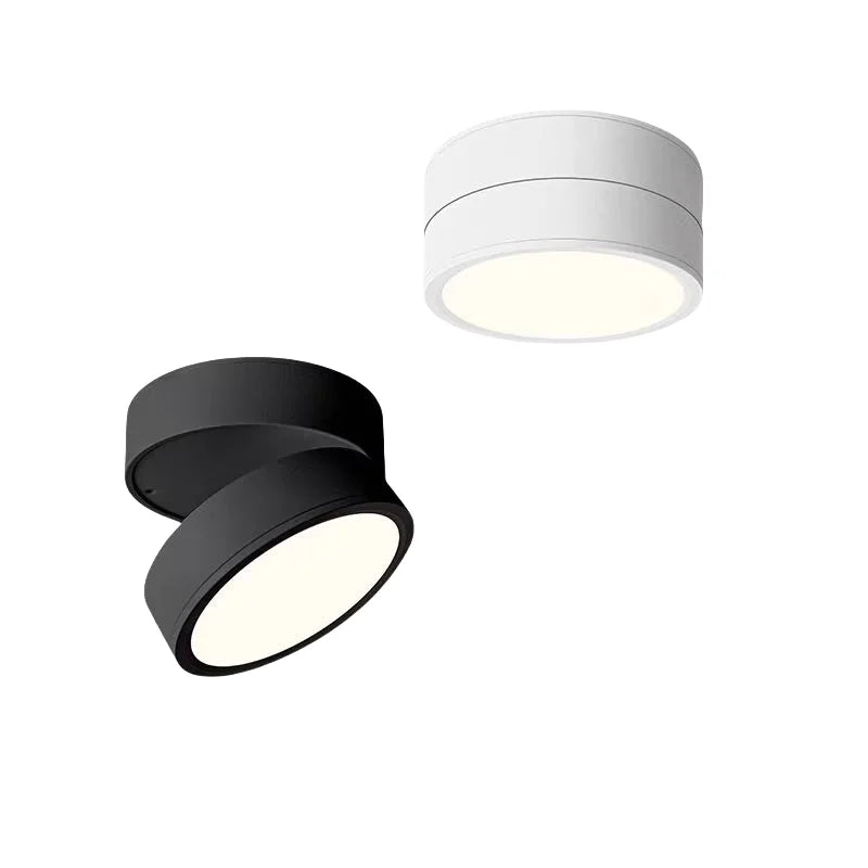 Modern Adjustable LED Ceiling Lamp