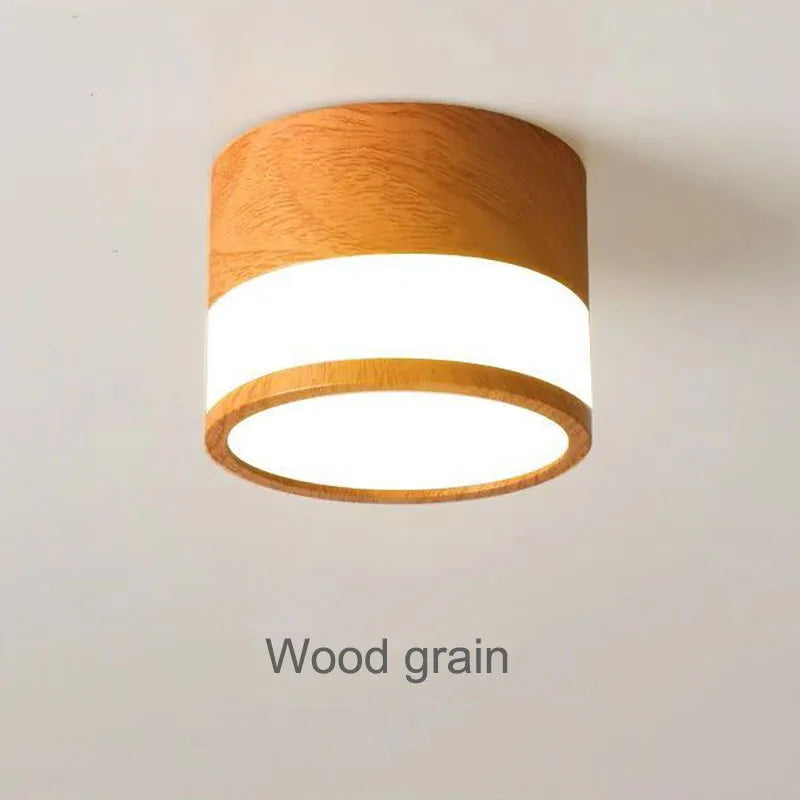 Elyran - Nordic LED Surface Downlight Dimmable