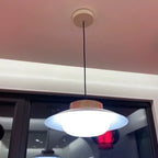 Modern Glass Pendant Lamp – Minimalist Design with Wooden Accent