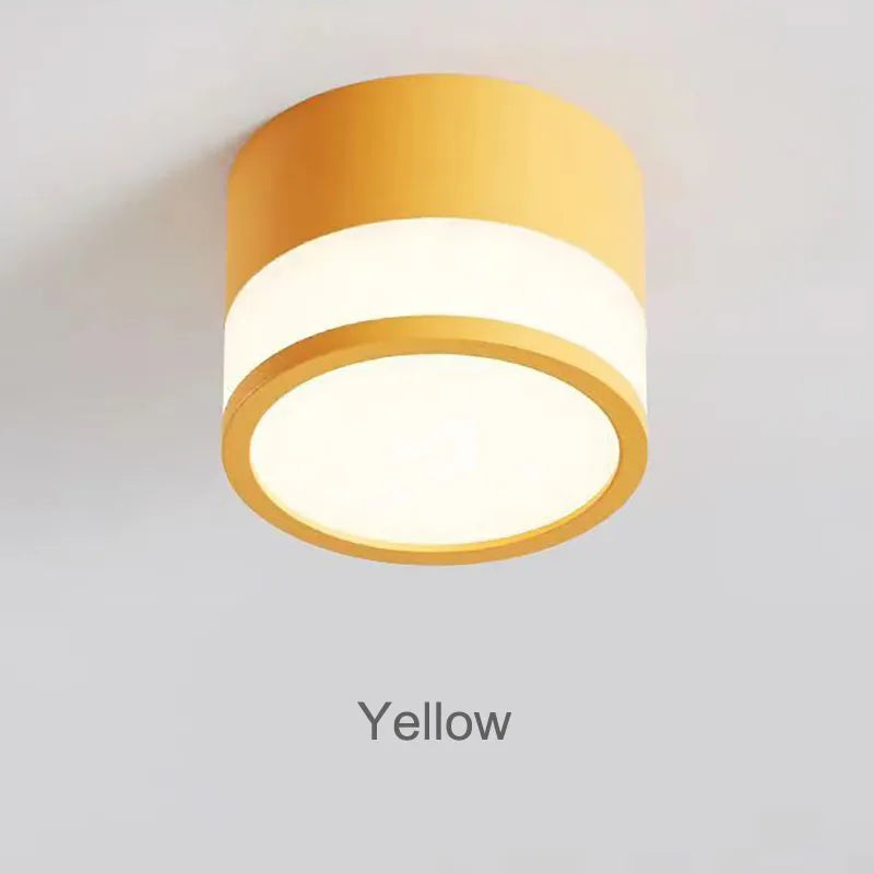 Elyran - Nordic LED Surface Downlight Dimmable