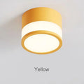 Elyran - Nordic LED Surface Downlight Dimmable