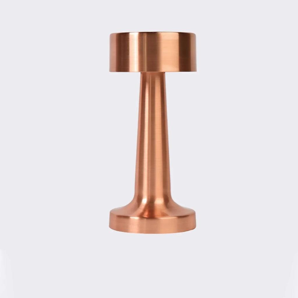Modern LED Metal Table Lamp with Touch Switch and Warm Light