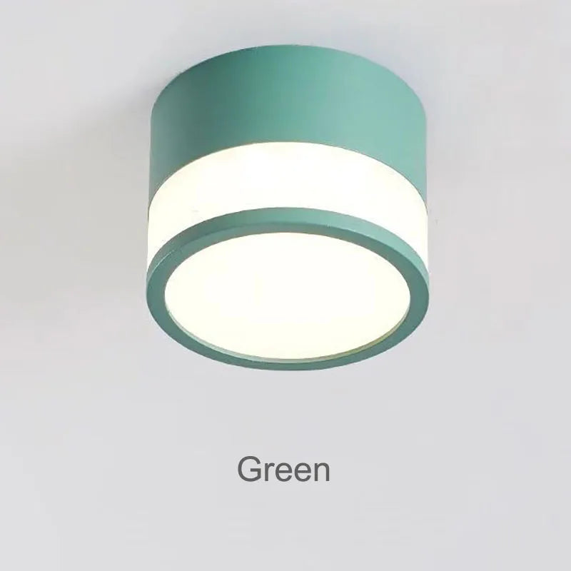 Elyran - Nordic LED Surface Downlight Dimmable