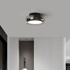 Modern Ceiling Light Fixture with Glass Shade