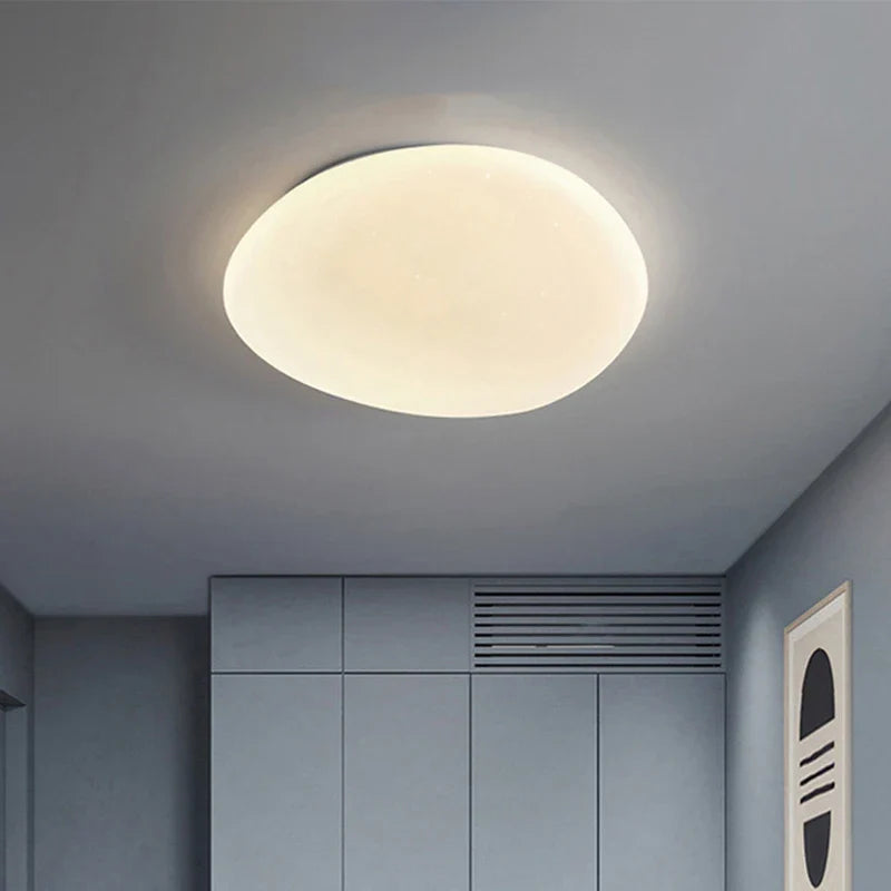 Organic LED Ceiling Lamp Natural Stone Shape