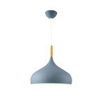Modern pendant lamp with a rounded shape